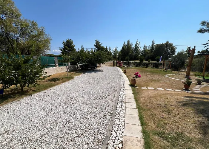Epavli Xenia Pefkochori-Paliouri 50M