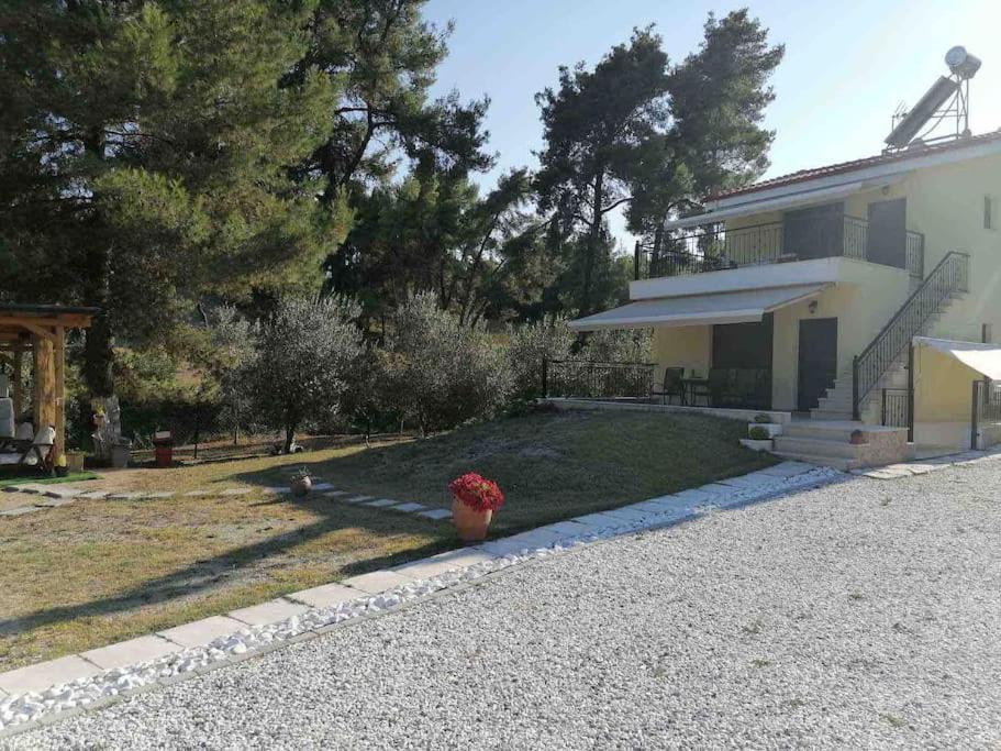 Epavli Xenia Pefkochori-paliouri 50m