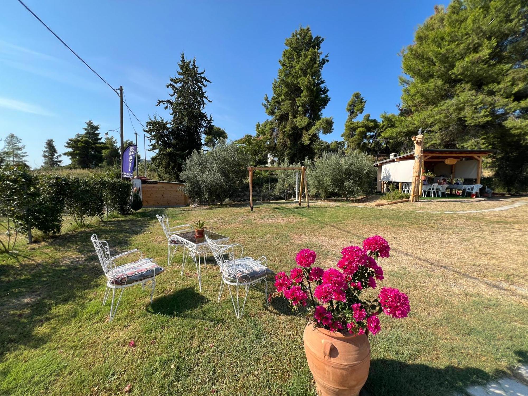 Appartamento Epavli Xenia Pefkochori-paliouri 50m *